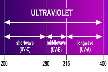 Black lights and the UV Spectrum