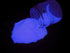 products/phosphorescent-glow-in-the-dark-powder-pigment-purple-2.jpg